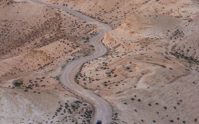 découvrez les trésors du voyage en afrique : safaris, culture, paysages majestueux et aventures inoubliables pour un séjour unique.