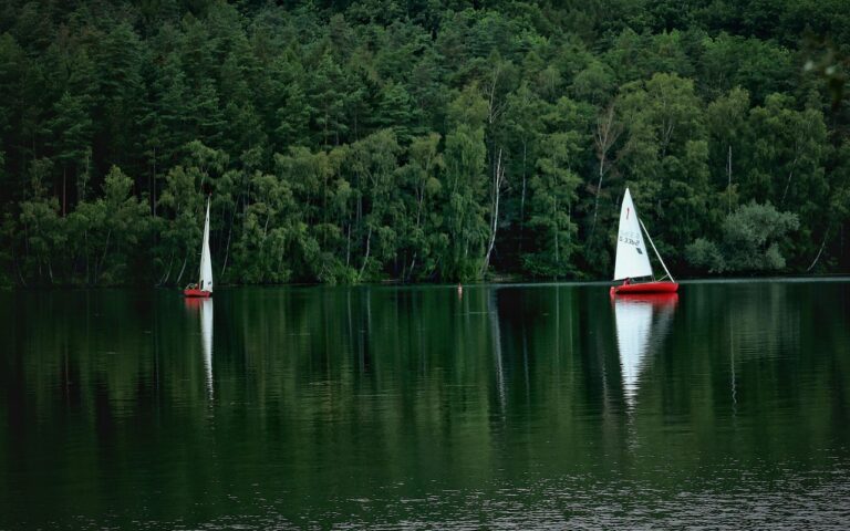 découvrez les meilleures activités à faire sur le lac okeechobee : pêche, navigation, randonnée et bien plus pour toute la famille.
