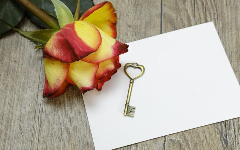 découvrez nos journées portes ouvertes pour explorer nos installations, rencontrer notre équipe et en savoir plus sur nos offres et services.