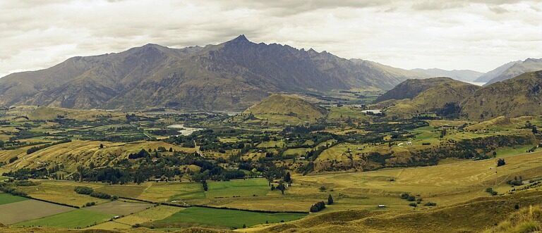 dernières nouvelles régionales : suivez l'actualité locale en temps réel, événements, politiques, économie et culture près de chez vous.