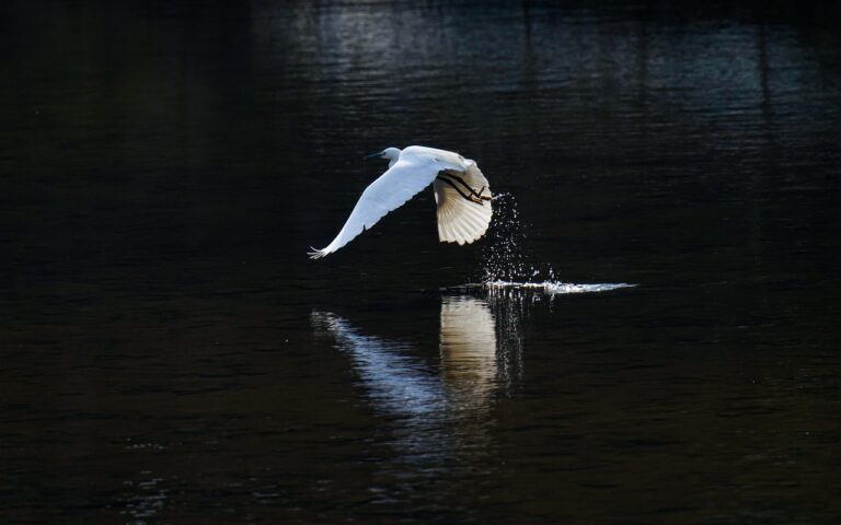 découvrez les vols commerciaux entre la russie et la corée du nord, facilitant les échanges et les voyages entre ces deux pays.