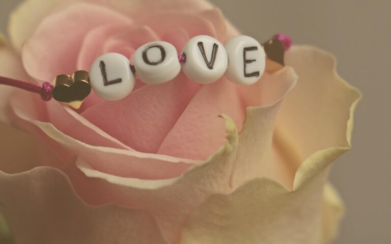 découvrez des idées créatives pour célébrer la saint-valentin et la galentine's day, des moments parfaits à partager en couple ou entre amies.