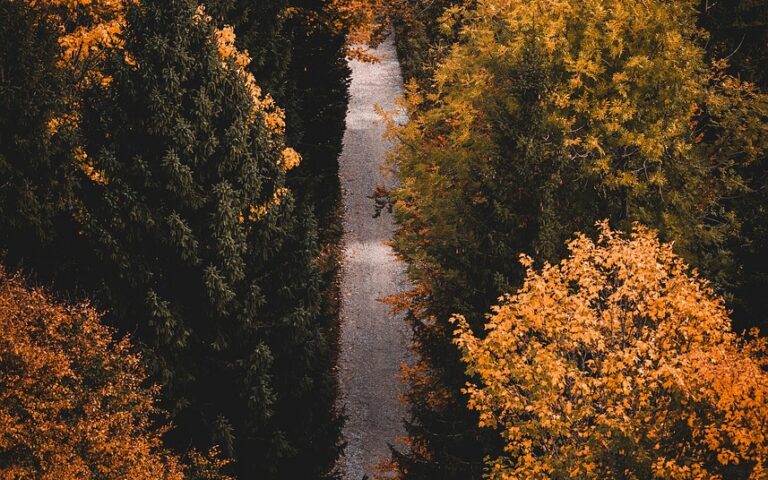 découvrez les meilleurs sentiers de randonnée, conseils pour bien préparer vos sorties en pleine nature et profitez d'aventures inoubliables en randonnée.