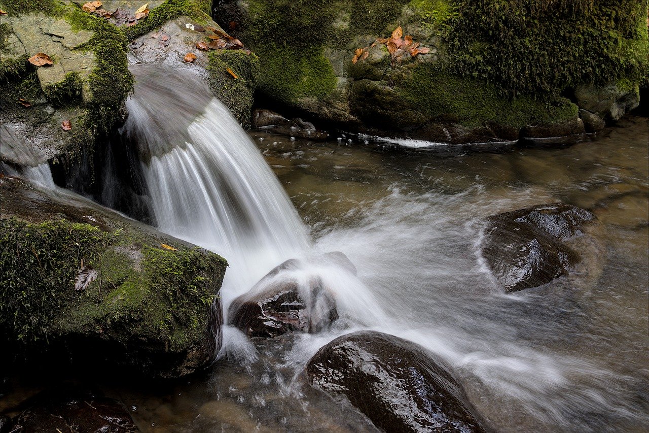découvrez la beauté et la diversité de la nature, un univers fascinant où chaque élément joue un rôle essentiel. plongez-vous dans nos articles et récits inspirants sur les paysages, la flore, la faune et l'importance de préserver notre environnement.