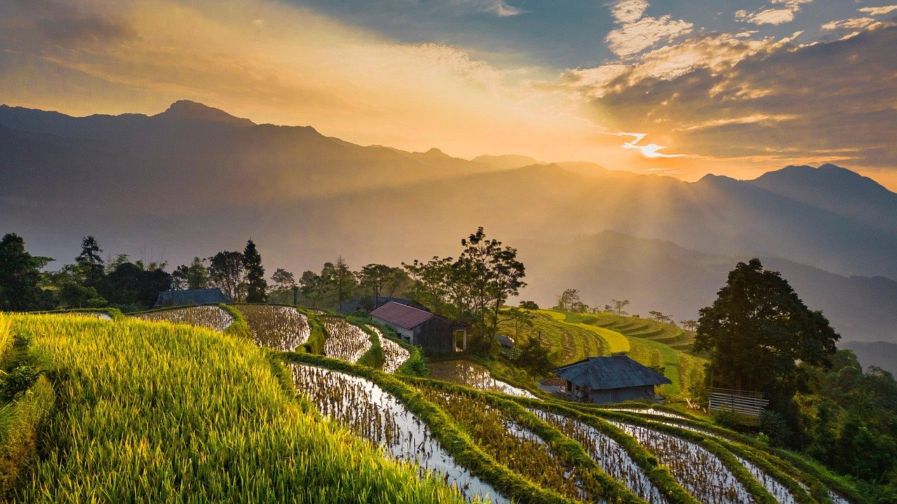 découvrez la beauté et la diversité de la nature à travers nos articles captivants sur les paysages, la faune et la flore. plongez dans l'harmonie de l'environnement et laissez-vous inspirer par la magie du monde naturel.