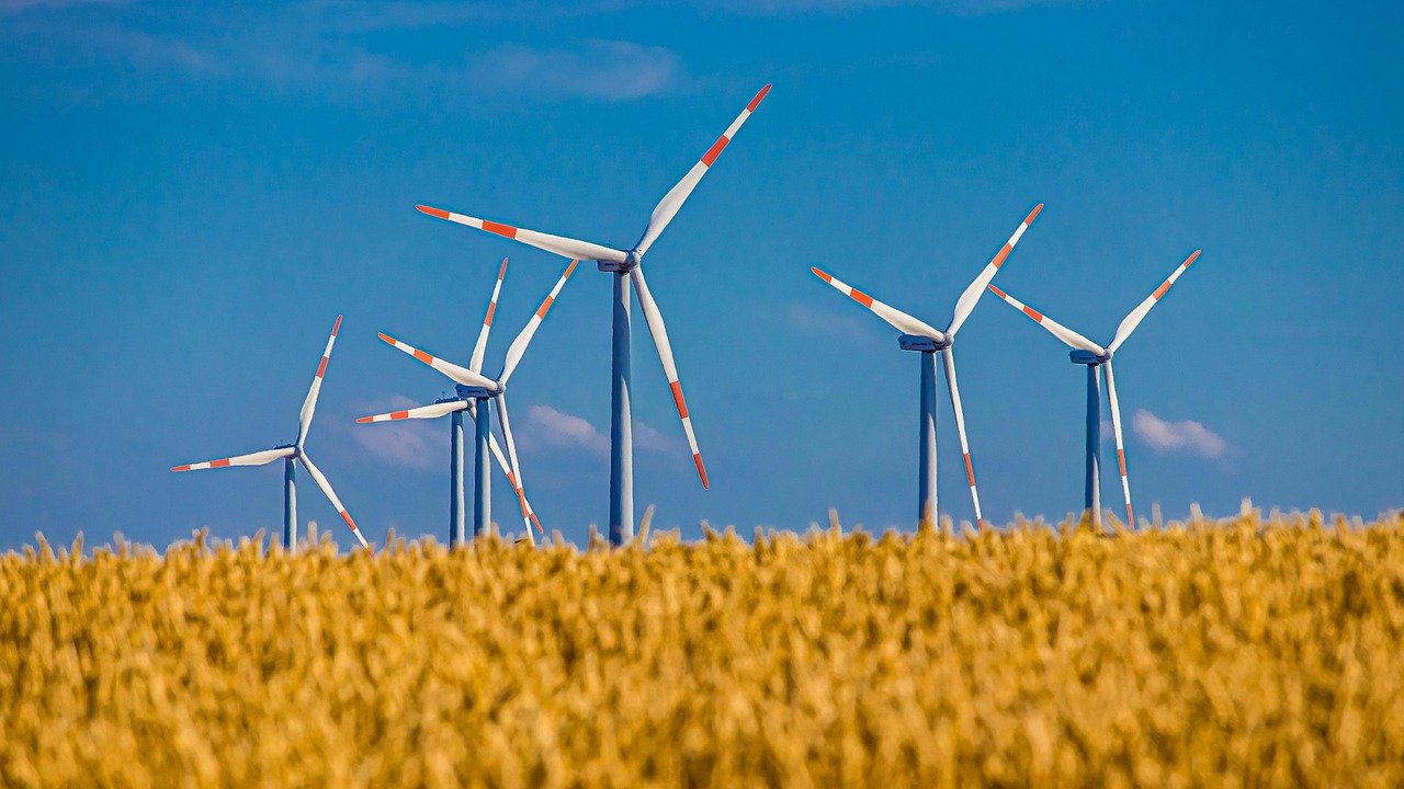 découvrez l'écotourisme durable, une approche responsable qui préserve l'environnement tout en offrant des expériences authentiques. voyagez consciemment et contribuez à la protection des écosystèmes tout en explorant des destinations uniques.