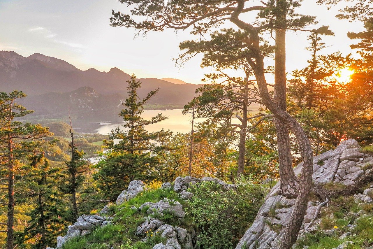 découvrez l'aventure en plein air avec notre guide sur la randonnée. explorez des sentiers pittoresques, bénéficiez de conseils pratiques et vivez des expériences inoubliables au cœur de la nature.