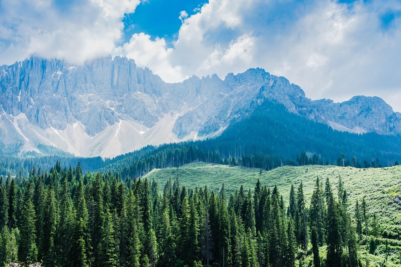 découvrez l'écotourisme : une aventure durable qui allie exploration des merveilles naturelles et respect de l'environnement. plongez dans des expériences authentiques tout en préservant notre planète.
