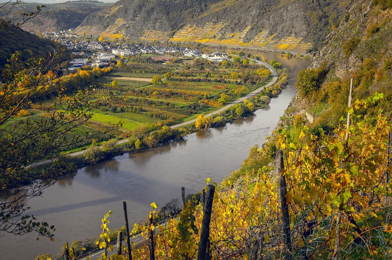 découvrez notre sélection de vins exceptionnels, soigneusement choisis pour ravir les amateurs et les connaisseurs. un voyage sensoriel à travers des terroirs uniques aux saveurs inoubliables.