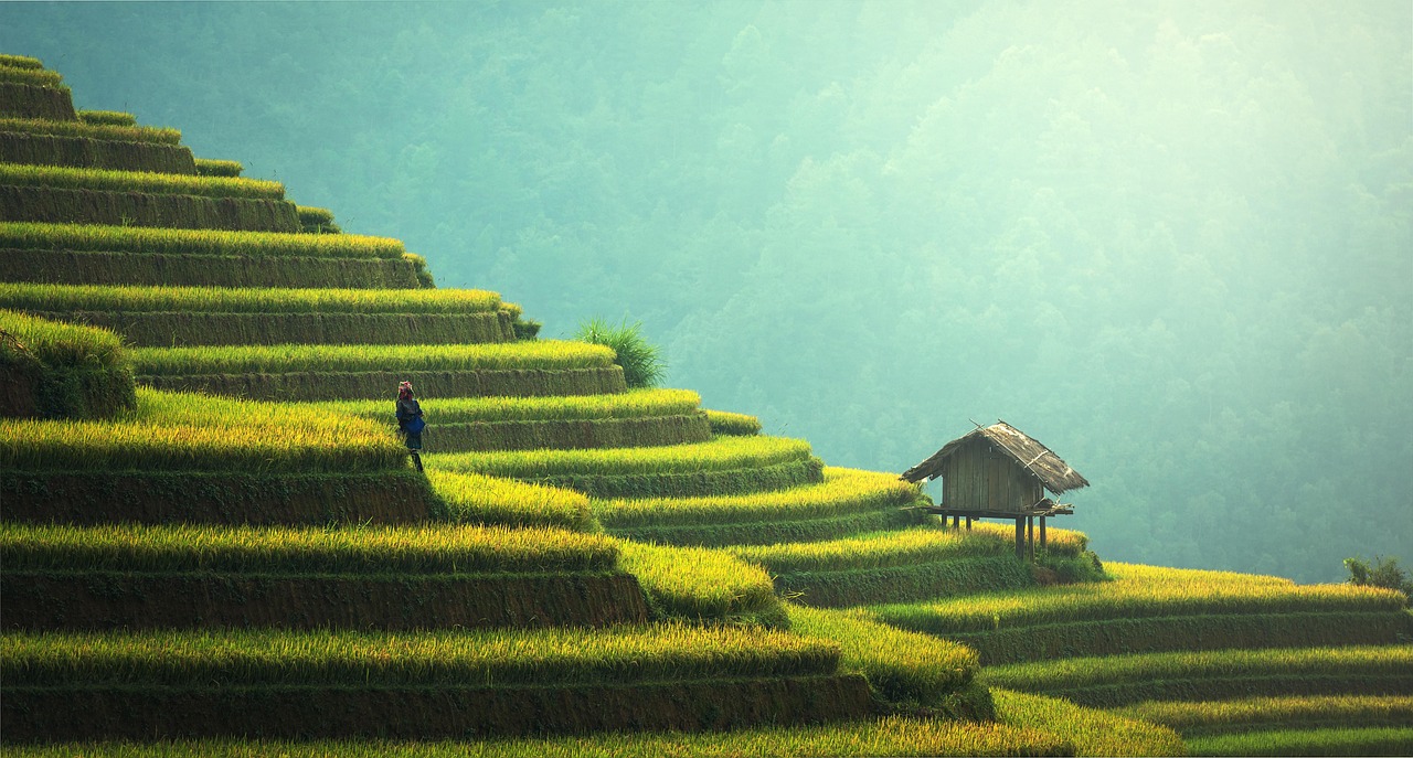 découvrez comment voyager de manière responsable et réduire votre impact environnemental grâce à des conseils pratiques, des destinations écologiques et des astuces pour un voyage durable.