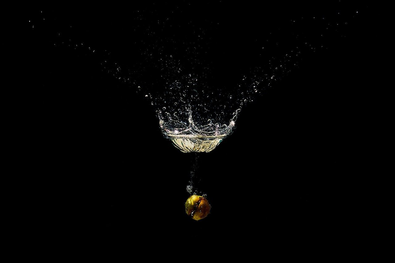 découvrez l'essence de la nature avec notre expérience immersive 'nature immersion'. plongez dans des paysages apaisants, ressentez la sérénité des forêts et laissez-vous inspirer par la beauté du monde naturel. une invitation à reconnecter avec l'environnement et à revitaliser votre esprit.
