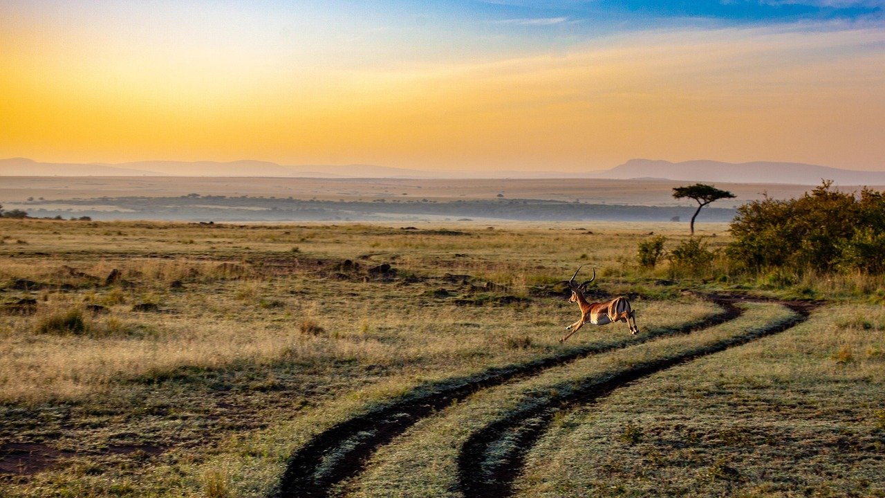 découvrez l'écotourisme durable, une approche responsable qui vous permet d'explorer des destinations magnifiques tout en protégeant l'environnement et en soutenant les communautés locales. vivez des expériences authentiques et respectueuses de la nature.