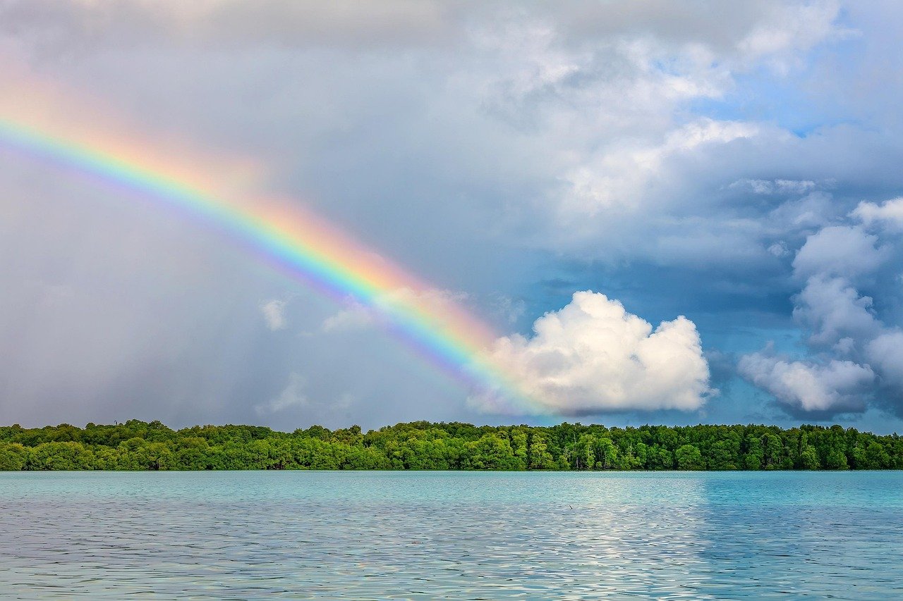 découvrez la beauté et la diversité de la nature à travers des paysages époustouflants, une faune fascinante et des écosystèmes riches. explorez les merveilles de notre planète et apprenez comment les préserver pour les générations futures.