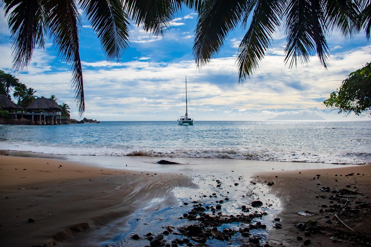 découvrez la beauté des côtes dans notre exploration des littoraux. plages paradisiaques, falaises majestueuses et écosystèmes marins riches vous attendent. préparez-vous à explorer et à vous émerveiller devant ces paysages uniques et leur biodiversité.