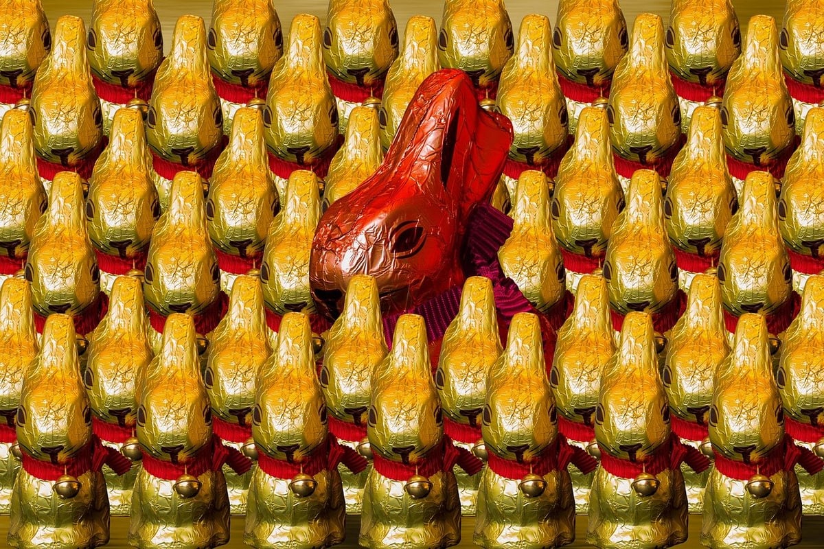 Un festival vibrant de musique et de saveurs pakistanaises : une célébration culturelle à Tunis