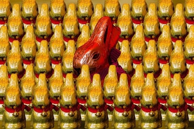 Un festival vibrant de musique et de saveurs pakistanaises : une célébration culturelle à Tunis