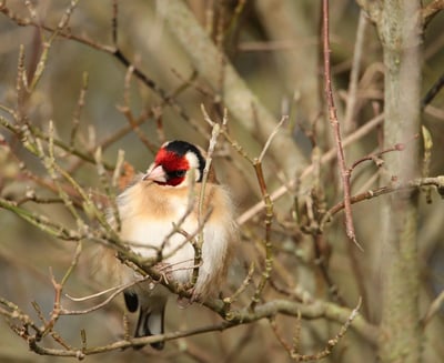 Nature préservée : À la découverte des trésors cachés de la région