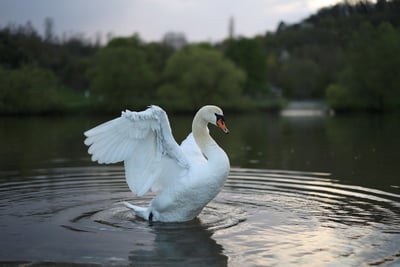 Voyager pendant la basse saison : avantages et inconvénients