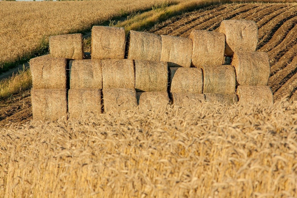 Célébrons le tourisme agricole ! La ruralité, la nouvelle tendance des voyages de demain…