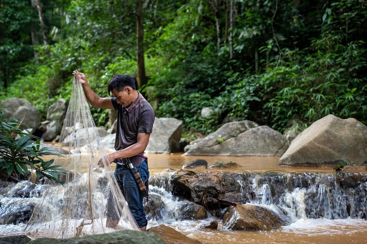 Traditions de pêche : pratiques ancestrales encore vivantes
