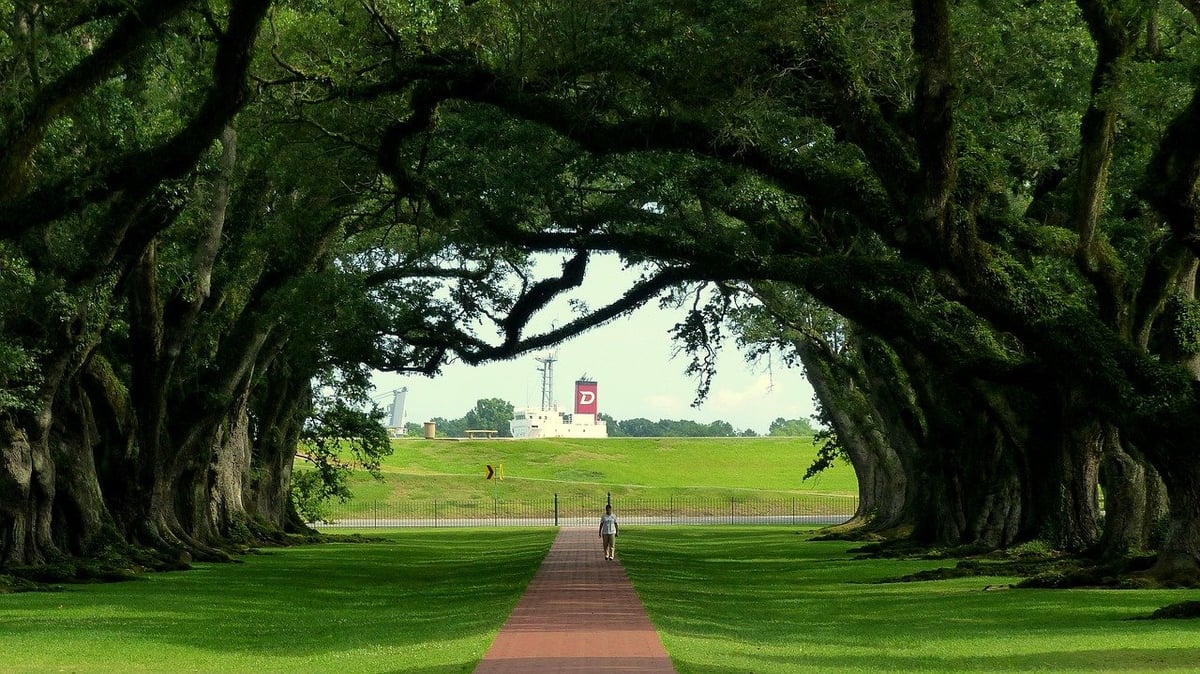 Exploration époustouflante : un road-trip de 10 jours à travers les merveilles de la Louisiane