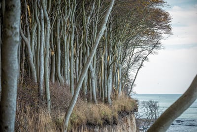 Correze : une escapade authentique au cœur de la nature