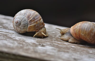 Une semaine de détente : Découverte du Slow Tourisme à Nice Côte d’Azur #2