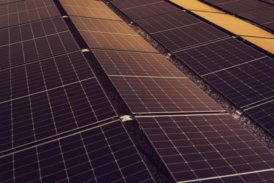 Durabilité : les initiatives écologiques à découvrir en Corrèze