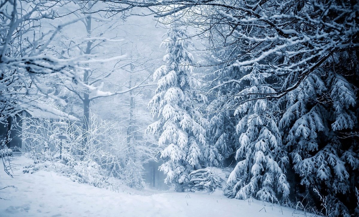 Analyse préliminaire de la campagne hivernale ‘Nice Côte d’Azur