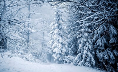 Analyse préliminaire de la campagne hivernale ‘Nice Côte d’Azur