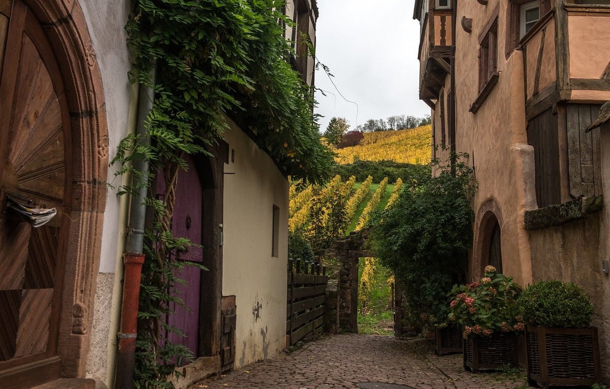 Explorez les saveurs de l’Alsace avec Gigi et Toto, deux blogueurs gastronomiques