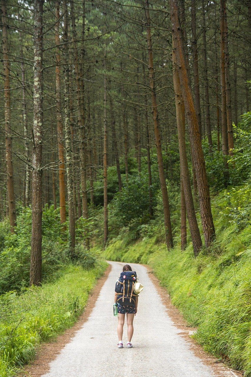 Promenades en pleine nature : découvrez les paysages enchanteurs de notre région