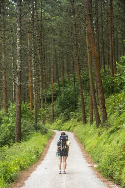 Promenades en pleine nature : découvrez les paysages enchanteurs de notre région