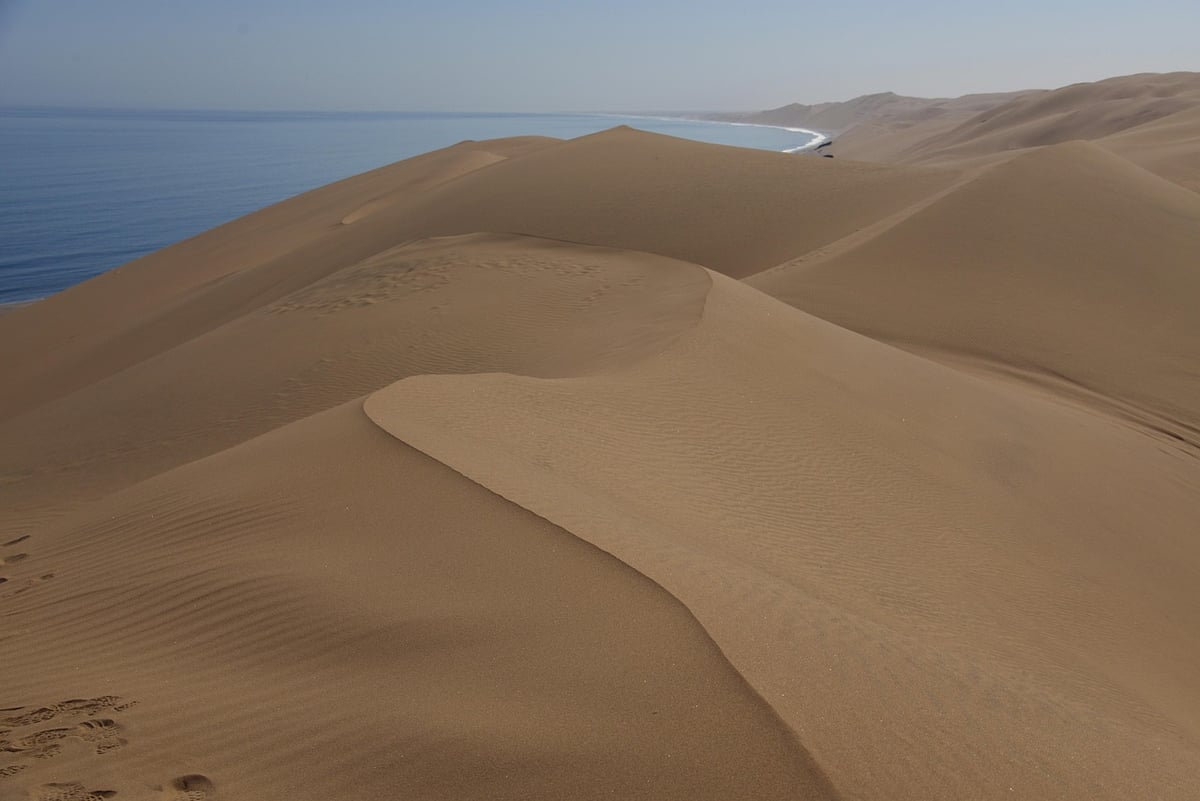 Thalassa : À la découverte des rivages indomptés de Namibie avec Diego Buñuel sur France 5