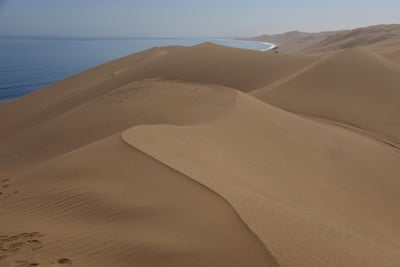 Thalassa : À la découverte des rivages indomptés de Namibie avec Diego Buñuel sur France 5