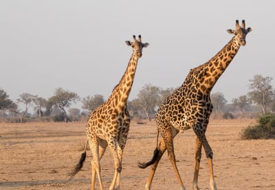 Écotourisme : À la découverte des trésors cachés de la nature française