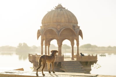 Guide Pratique et Précautions Essentielles pour Voyager en Inde
