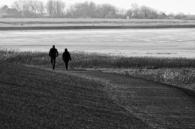 Exploration pédestre au cœur magique de la mer des Wadden