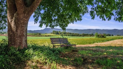 Commissions touristiques : Boostez l’attractivité des destinations rurales françaises