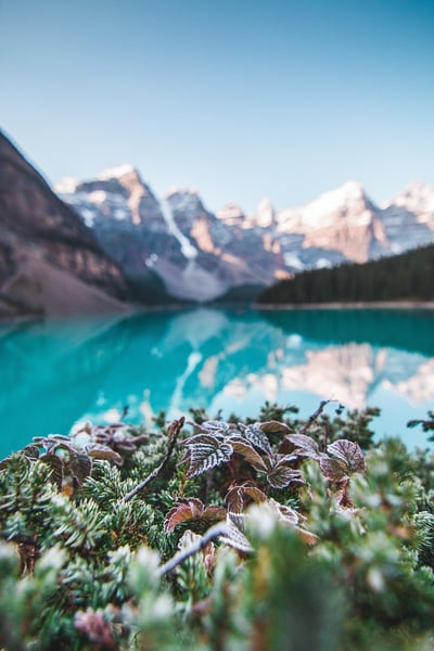 Camping : Découvrez les trésors cachés de la nature en pleine campagne