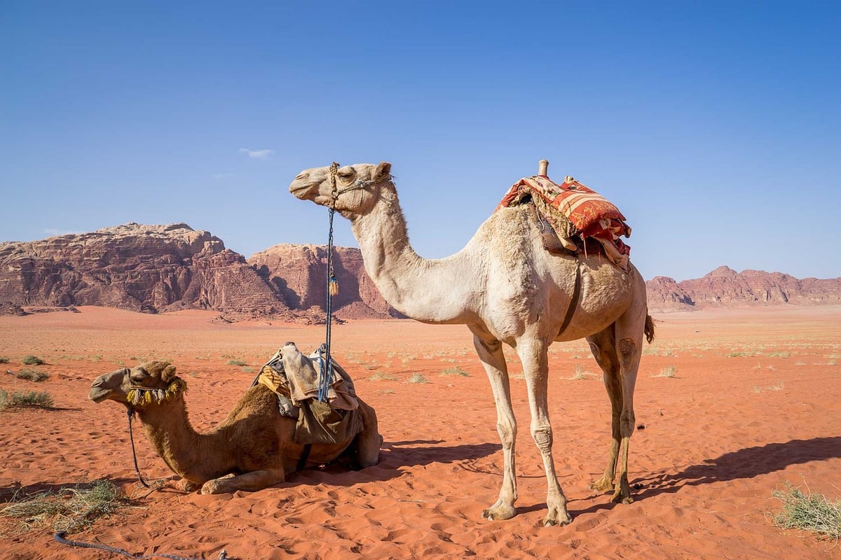 Tourisme dans la région MENA : quelles conséquences le conflit au Moyen-Orient imprime-t-il sur le secteur ?