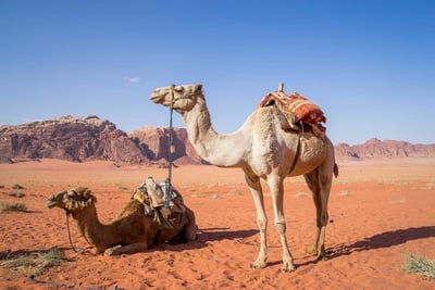 Tourisme dans la région MENA : quelles conséquences le conflit au Moyen-Orient imprime-t-il sur le secteur ?