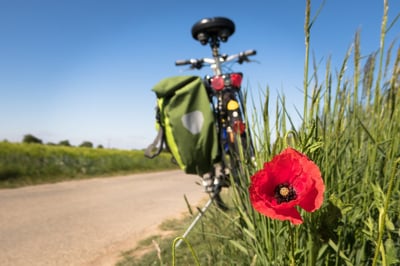Découvrez les activités de plein air à proximité de chez vous