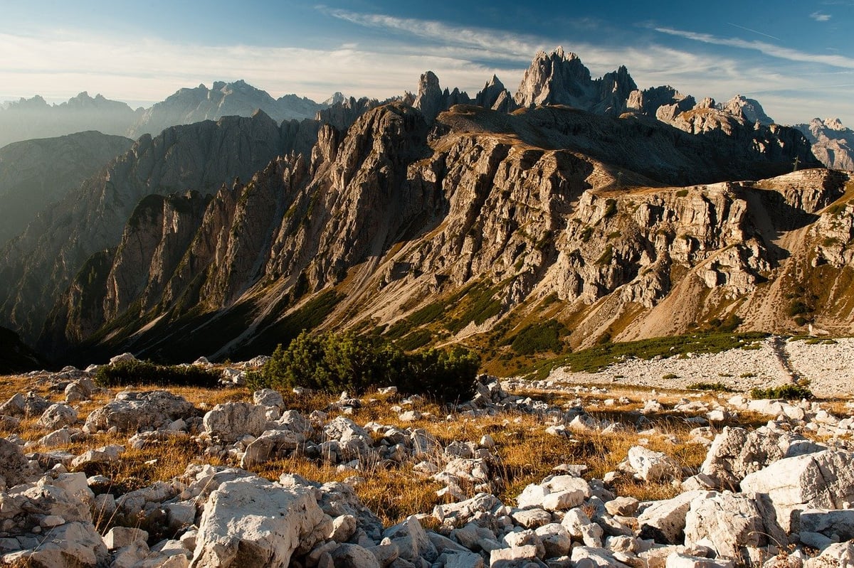 Animations en pleine nature : découvrez les richesses du territoire
