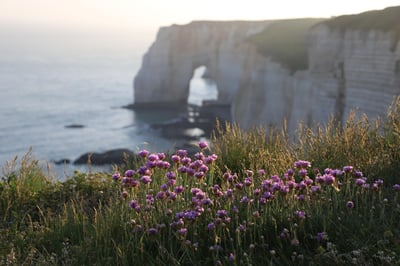 Les plus belles plages de France pour des vacances ensoleillées