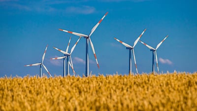 Circuit éco-responsable : Découvrez les trésors cachés de la région