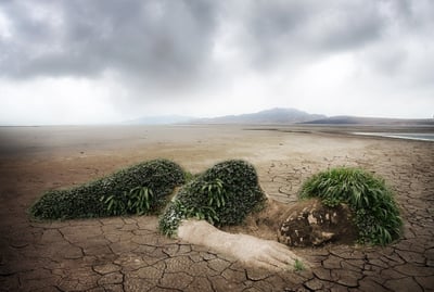 Écologie : Préserver les trésors naturels de notre région