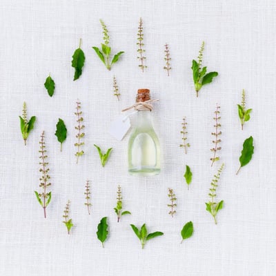 L’essence profonde du voyage