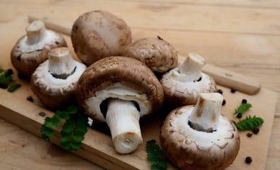Retrouver les saveurs d’antan en Bretagne