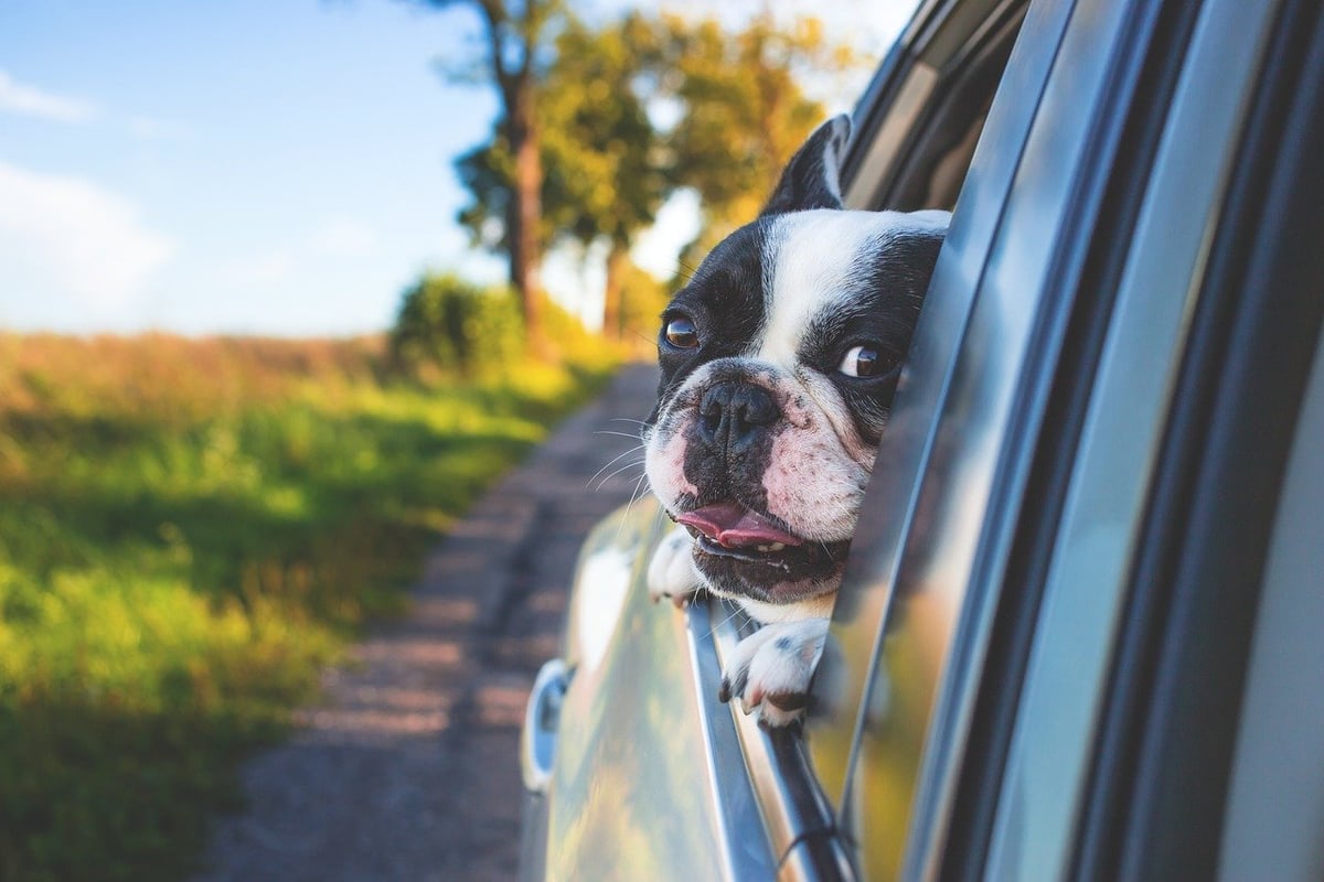 Quels sont les meilleurs conseils pour voyager en voiture ?